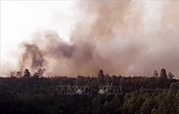 Quang Nam extinguishes three forest fires