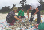 Plastic waste in Vietnam's coastal areas reaches alarming levels