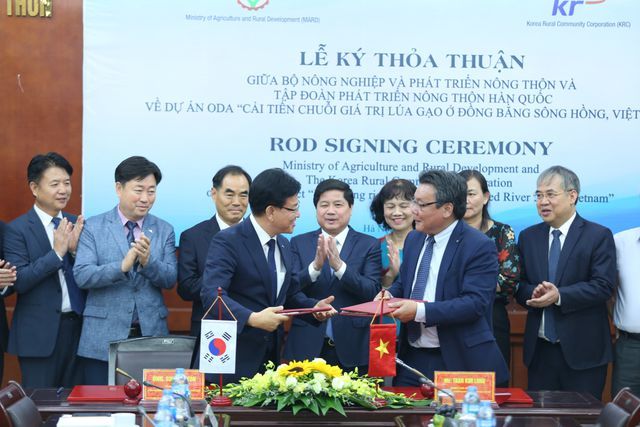 South Korea to help improve Vietnamese rice quality