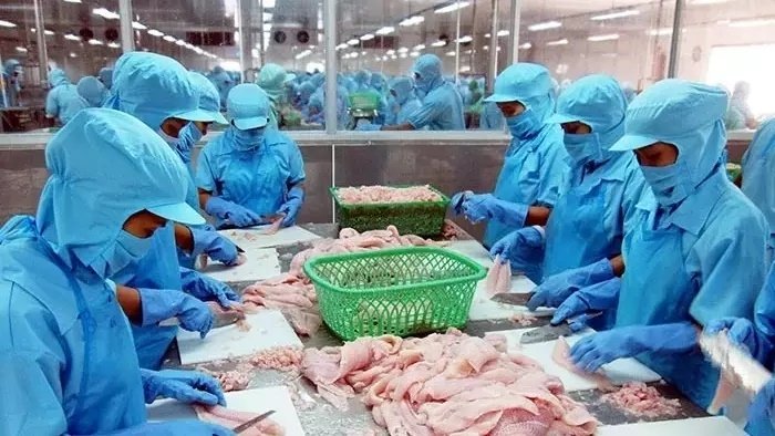 Vietnam’s economy forecast to grow 6.96% in 2019: think tank