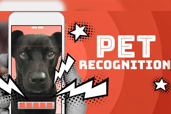 Trung Quốc dùng AI để nhận biết thú nuôi