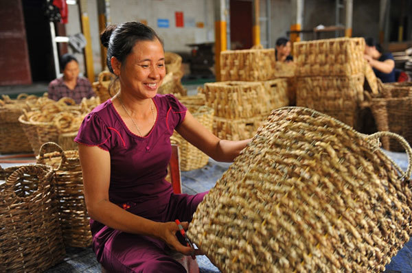 Making use of water hyacinth