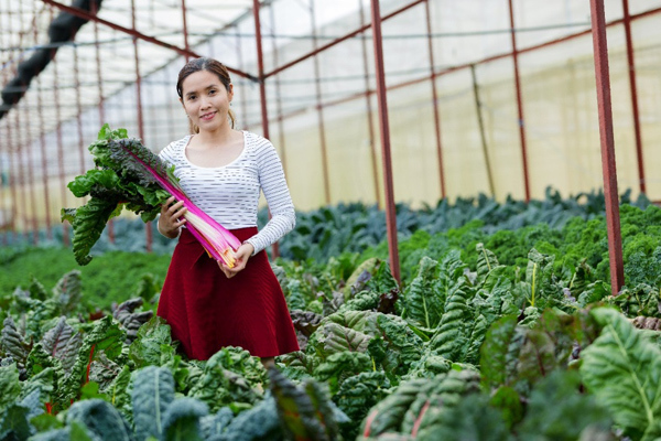 Câu chuyện của những người chọn bước ra khỏi vùng an toàn để chinh phục thành công