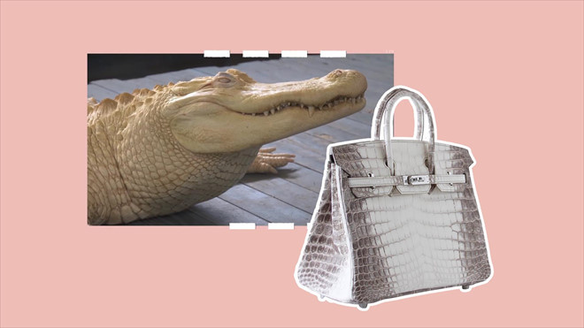 Vì sao túi Hermès Himalaya Birkin có giá đến 12 tỷ đồng?