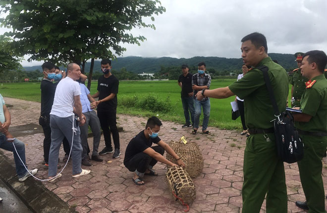 Vụ nữ sinh giao gà ở Điện Biên: Diện mạo khác của các đối tượng