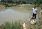 Lại đuối nước ở Khánh Hòa, 4 anh em họ cùng thiệt mạng