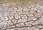 Binh Dinh experiences most serious drought in 15 years