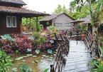 Vietnam homestay market heats up