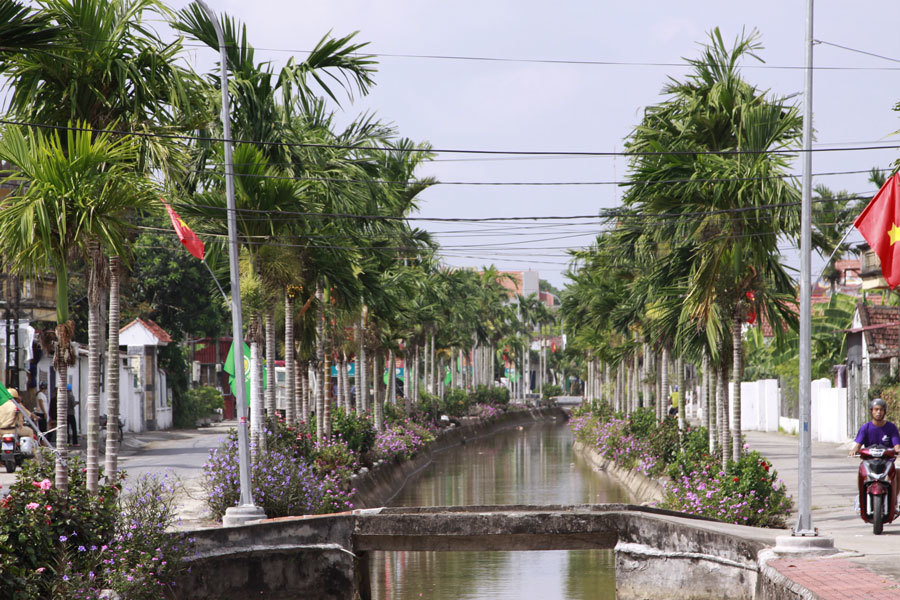 Đã mắt ngắm con đường hoa-cau ven sông dài 3km đẹp nhất Bắc Bộ