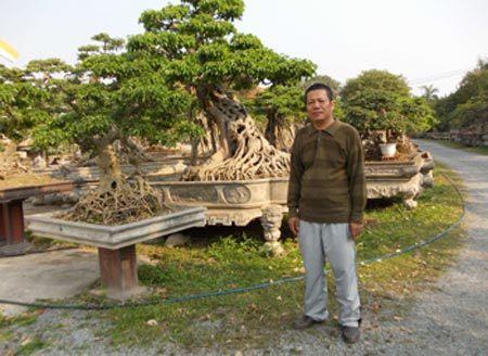 Đại gia Phiến 'cá' tiết lộ điều đáng buồn về cây cảnh ngoại tiền tỷ