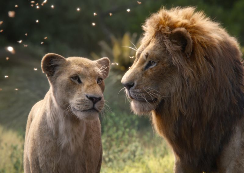 Với hình ảnh này, bạn sẽ được chứng kiến những phút giây kịch tính và hấp dẫn của vua sư tử cùng đàn thú hoang dã đầy mạnh mẽ. Bạn sẽ tận hưởng cảm giác hồi hộp khi những nhân vật yêu thích được tái hiện trong một địa điểm hoang sơ ngoài đại ngàn.