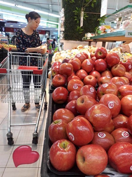 Demand for organic food soars in HCM City
