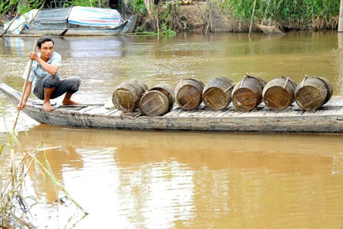 Vietnam's Mekong Delta faces water shortage and salinization
