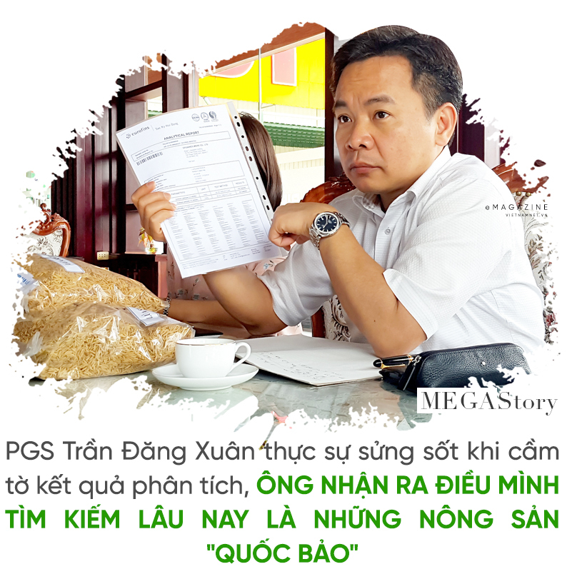 nông nghiệp hữu cơ,nông nghiệp sạch,lúa hữu cơ,Quảng Trị