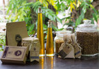 Essential oil project launched in Hoi An