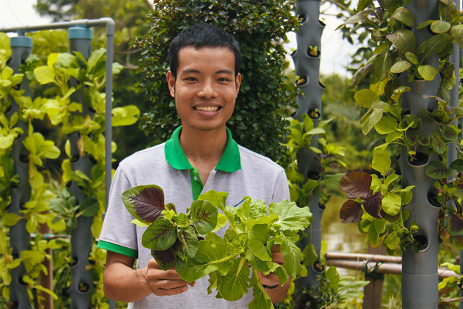 Hệ thống trồng rau sạch tự động 'siêu' tiết kiệm diện tích tại Sài Gòn