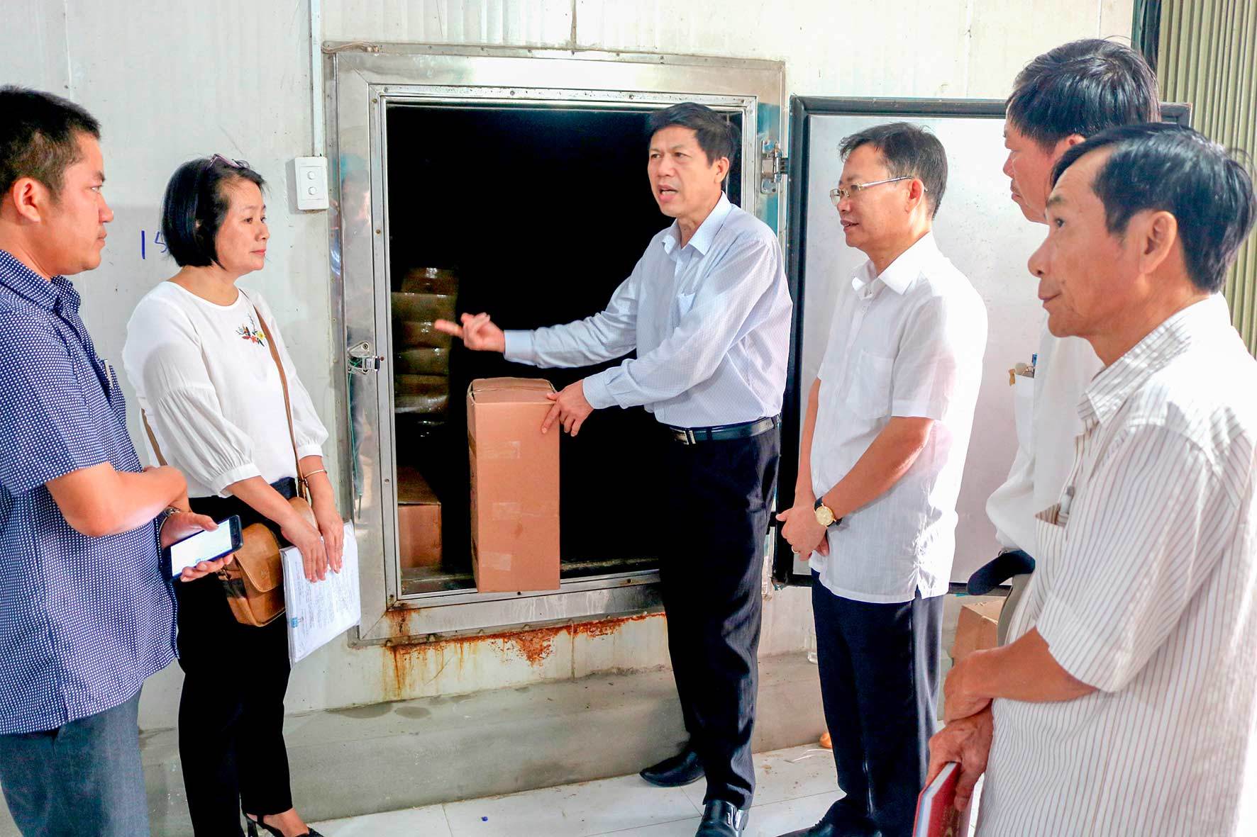Diễn biến mới vụ ‘chủ tịch huyện bán cá cho dân’ ở Quảng Trị