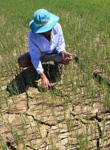 Central Vietnam grapples with extreme heat, drought