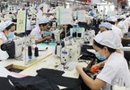Vietnam's garment industry yet to enjoy benefits from EVFTA