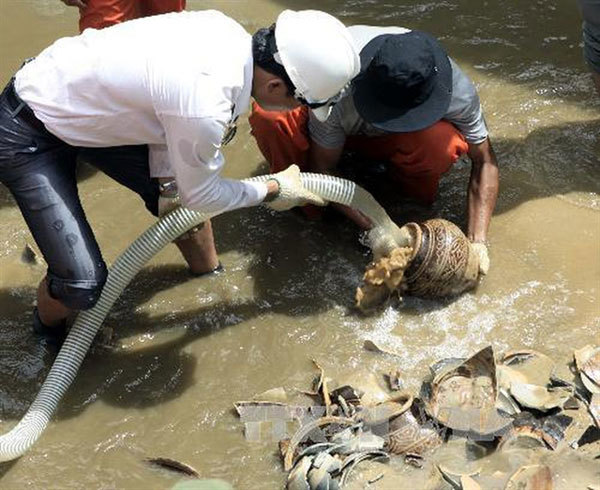 Excavation of ancient ship in Dung Quat Harbour halted