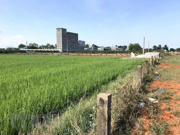 Phan Thiet City’s land management violations investigated