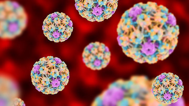 7 điều ít ai biết rõ về HPV, căn bệnh tình dục phổ biến nhất hiện nay