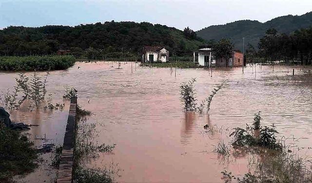 Heavy rains, floods wreak havoc in Yen Bai, Lam Dong