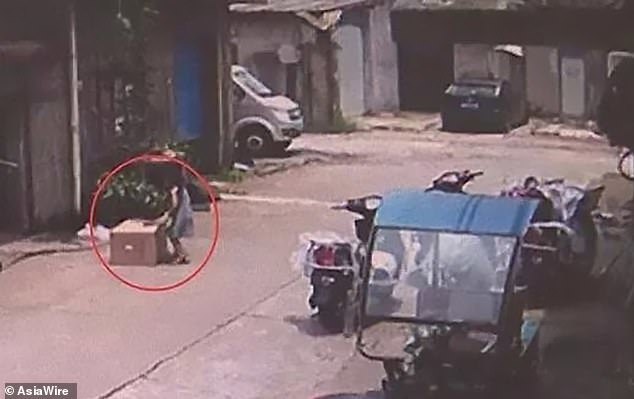 Trốn trong thùng carton giữa đường, bé 5 tuổi bị ô tô chèn qua