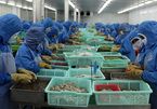 Vượt Trung Quốc, Mỹ thành khách hàng lớn nhất của nông sản Việt