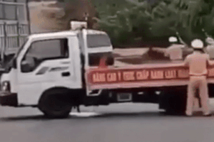 CSGT bị tông văng ở Gia Lai, thưởng tài xế quay clip chặn xe gỗ lậu