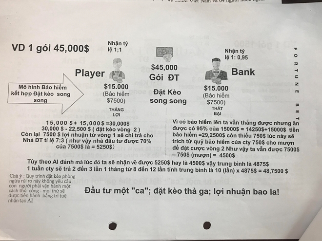 Cẩn trọng trước lời mời chào của 'chuyên gia' nước ngoài