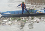 HCM City takes steps to reduce pollution in canal networks