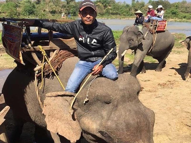 Veterinarian asks to stop elephant-riding tourism