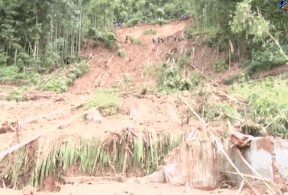 Mưa to, sạt lở đất khiến 1 người chết, vùi lấp nhiều nhà ở Hà Giang
