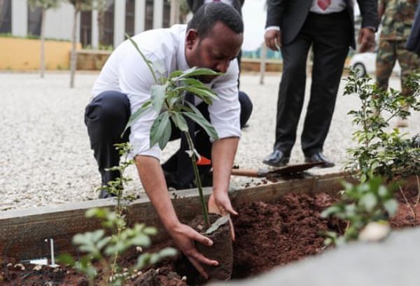 Ethiopia trồng 350 triệu cây mỗi ngày để giải quyết khủng hoảng khí hậu