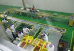 Businesses spend big money on fruit processing technology