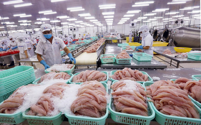VN catfish exports: sales goals unmet despite price cut