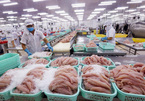 VN catfish exports: sales goals unmet despite price cut