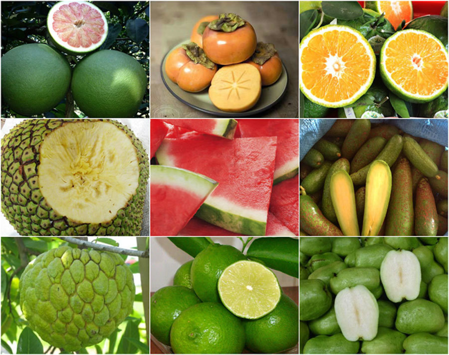 9 loại trái cây không hạt từng 'làm mưa làm gió' cho thu lời 'khủng'
