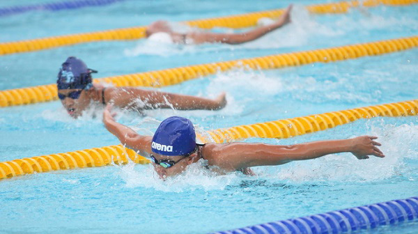 Swimmers, finswimmers to compete at national tournament