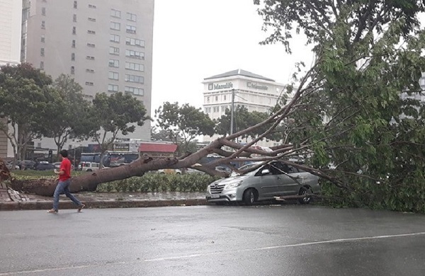 Nhà tốc mái, cây đổ la liệt sau trận giông lốc ở Sài Gòn