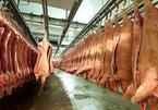 Imported pork dirt cheap, domestic livestock industry in danger