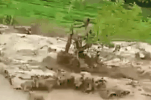 Phút sinh tử của người đàn ông Thanh Hóa đu cây trong lũ dữ