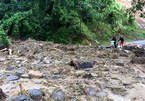 One dead, dozen go missing in Thanh Hoa due to storm Wipha