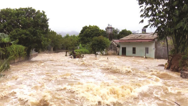 Weakened Storm Wipha devastates northern and central Vietnam