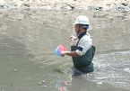 Chuyên gia Nhật sẽ tắm trên sông Tô Lịch