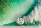iPhone 2021 sẽ có sinh trắc vân tay Touch ID dưới màn hình