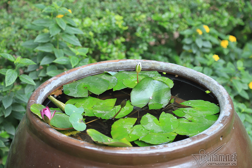 Chúng tôi sắp cưới nhưng bạn trai lại không muốn 'chuyện ấy'