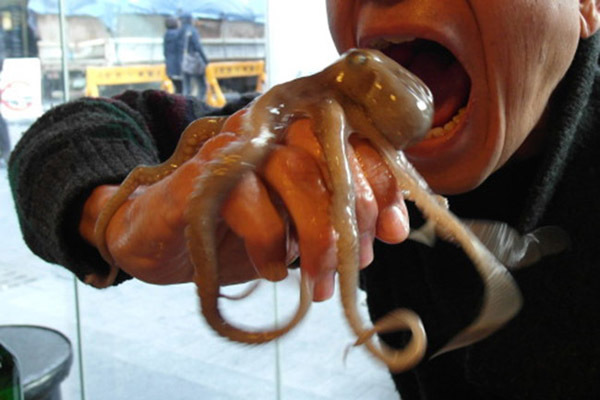 Cẩn thận nếu không muốn mất mạng khi ăn đặc sản này