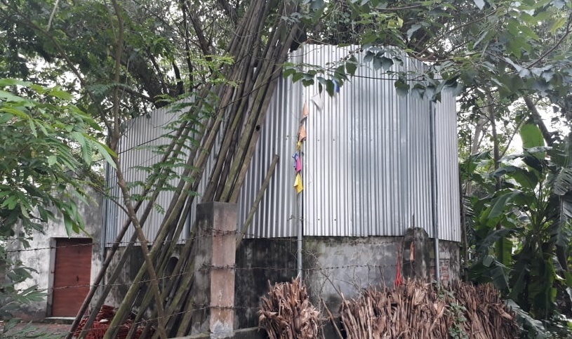 Cả làng quây tôn, dựng chốt bảo vệ cây sưa 22 tỷ ở Vĩnh Phúc